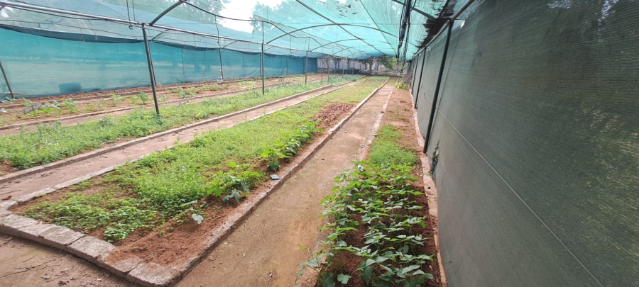 4 Bedroom Property for Sale in Modderfontein A H North West